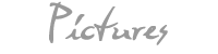 Pictures